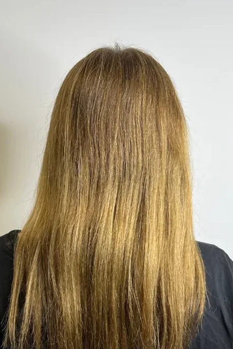 Cabelo castanho claro antes do tratamento com proteínas líquidas